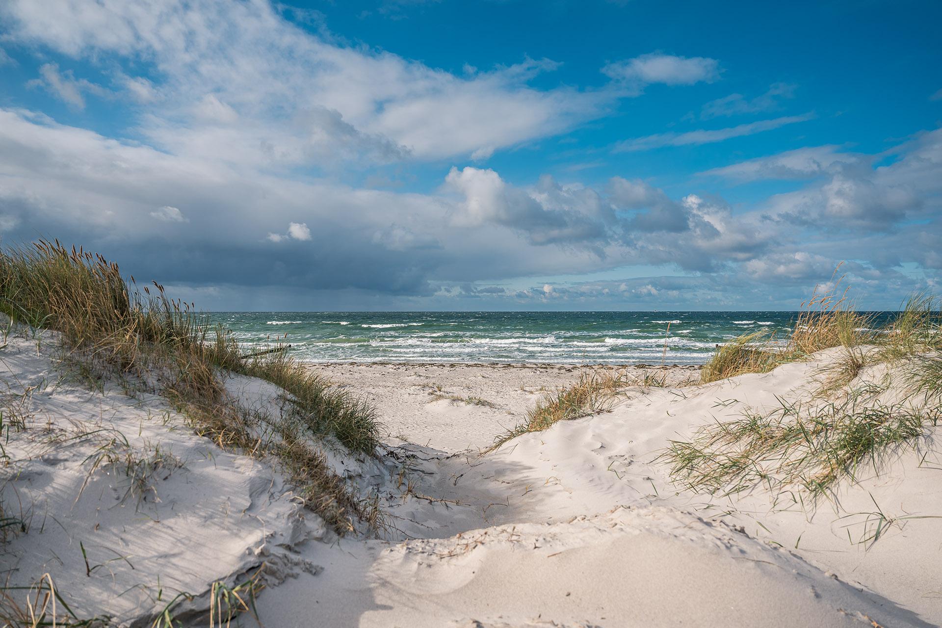 Dünenlandschaft auf der Insel Hiddensee